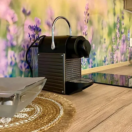 Donaustern باساو