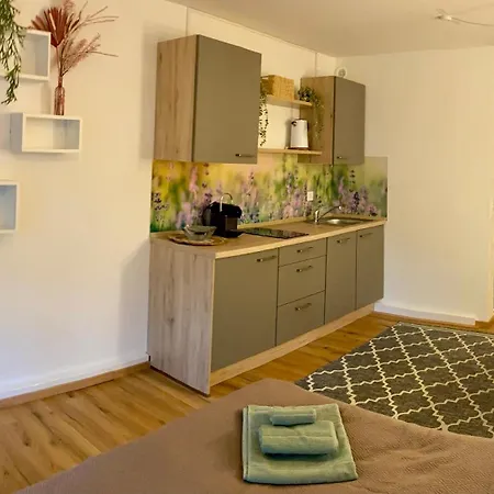 Donaustern Apartment *