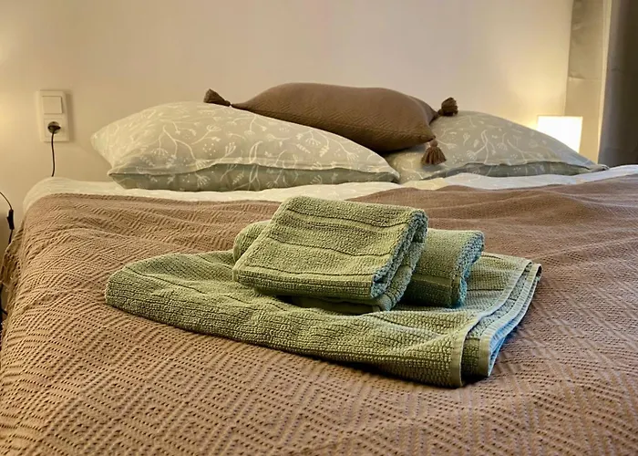 Donaustern Appartamento Passavia